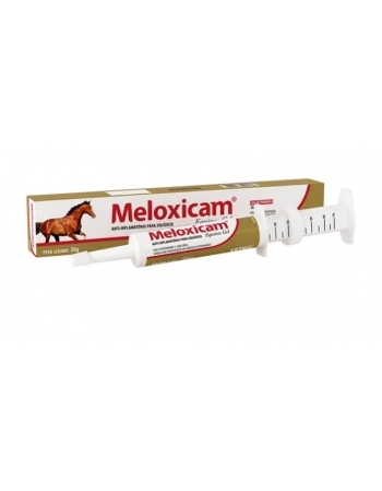 Gel Meloxicam Equinos 35g - Vetnil