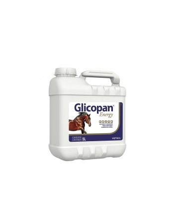 Suplemento vitamínico Glicopan Energy 1L - Vetnil